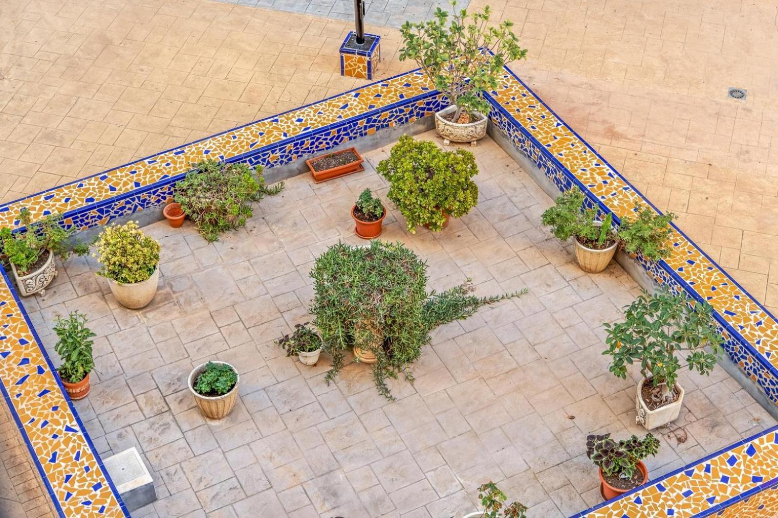 Studio A 200M De La Playa Los Locos Torrevieja Eksteriør billede